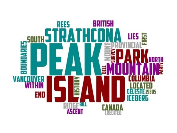 Iceberg Peak Typography Crafting: Strategic Wordcloud Design for Purpose-Driven Creators