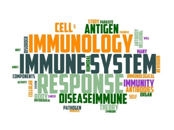Immunology Typography Wallpaper: Where Science, Design, and Purposeful Creativity Converge