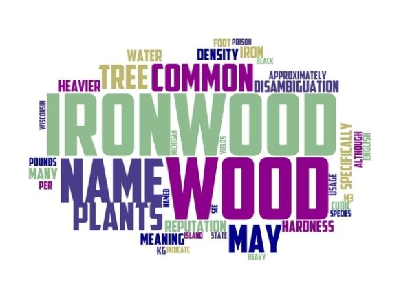 Ironwood Typography Tshirt Design