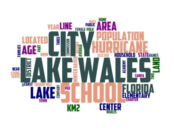 Lake Wales Typography Tshirt
