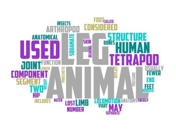 Legos Typography Sublimation: A Vibrant, Versatile Word Cloud Asset for Creative Professionals
