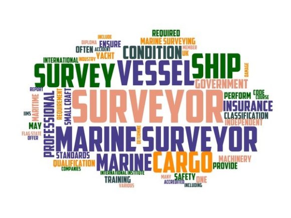 Marine Surveyor Typography Wallpaper